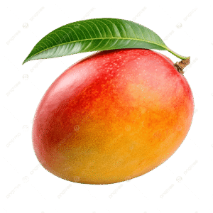 Mangue