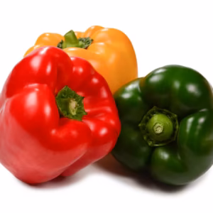 Poivron
